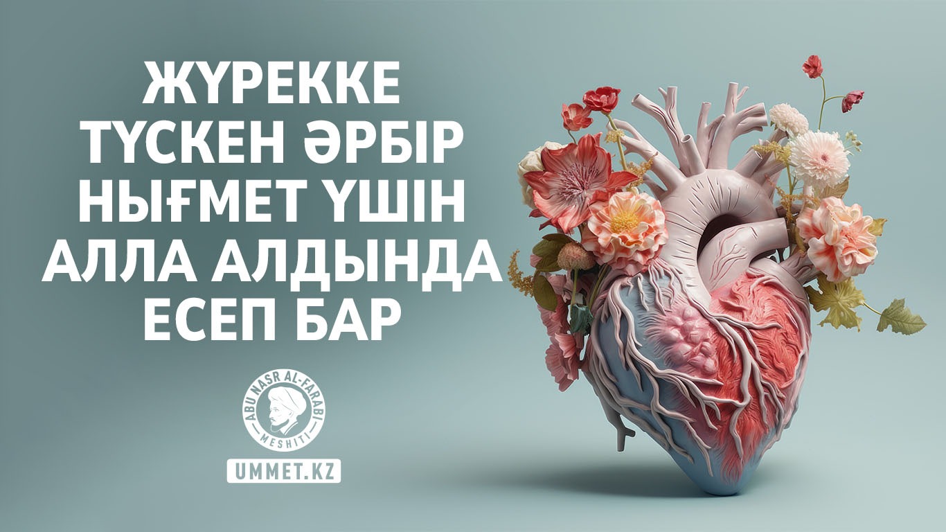 Жүрекке түскен әрбір нығмет үшін Алла алдында есеп бар