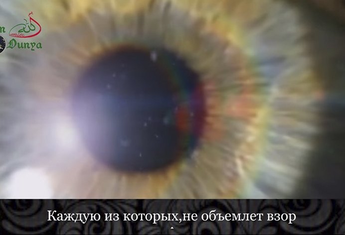"Последняя Надежда" - слушать каждому мусульманину