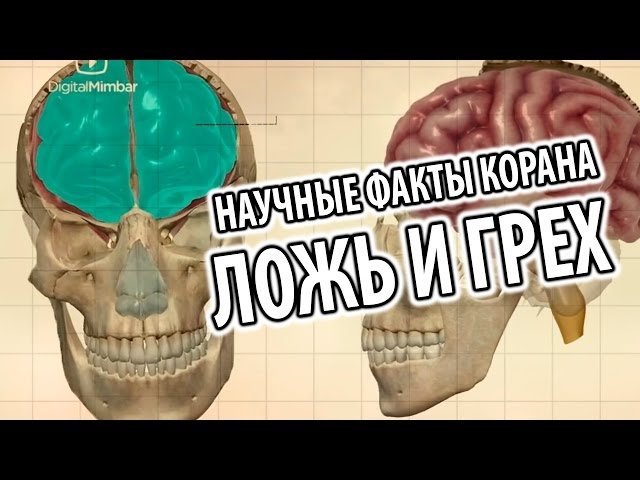 Научные факты в Коране: Ложь и грех