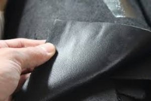 Доңыздың терісін пайдалануға рұқсат па?