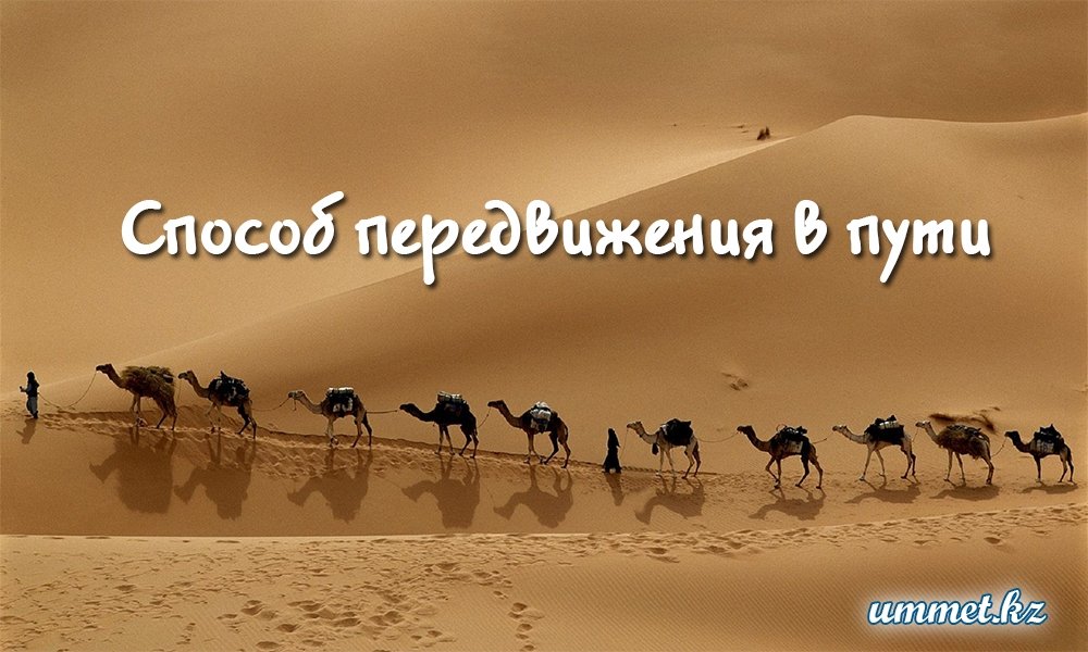 2. Способ передвижения в пути