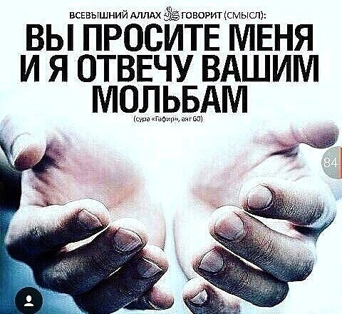 Проси у Аллаха - и у тебя все будет