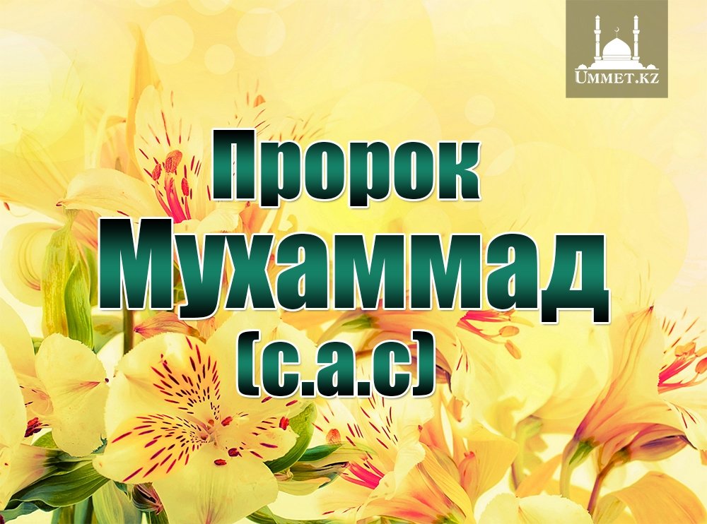 Он был самым красивым