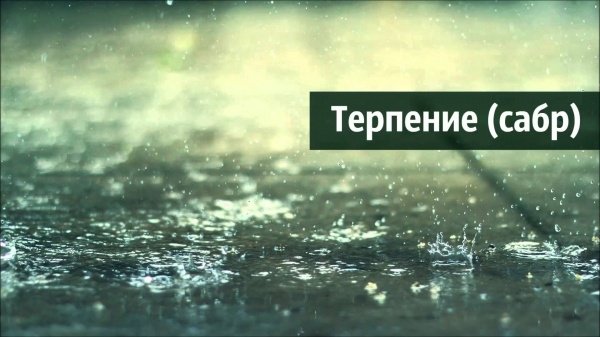 10 правил терпеливого мусульманина