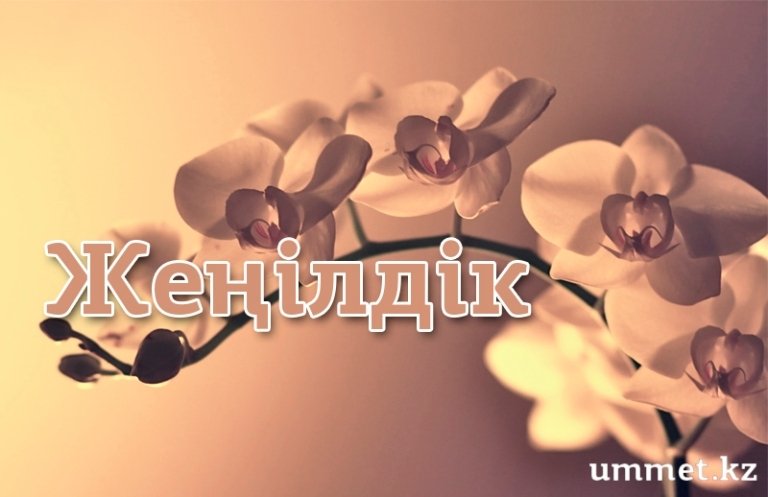 Жеңілдік