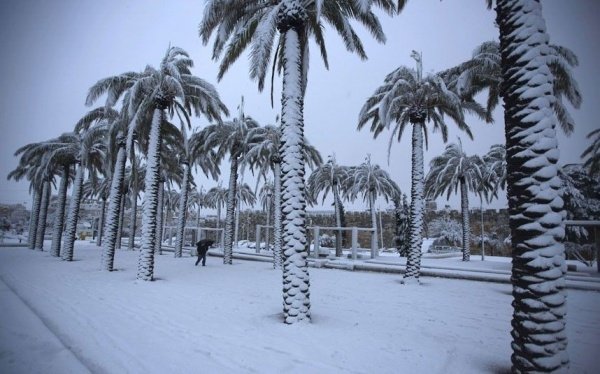 Саудовскую Аравию накрыло снегом (ФОТО)