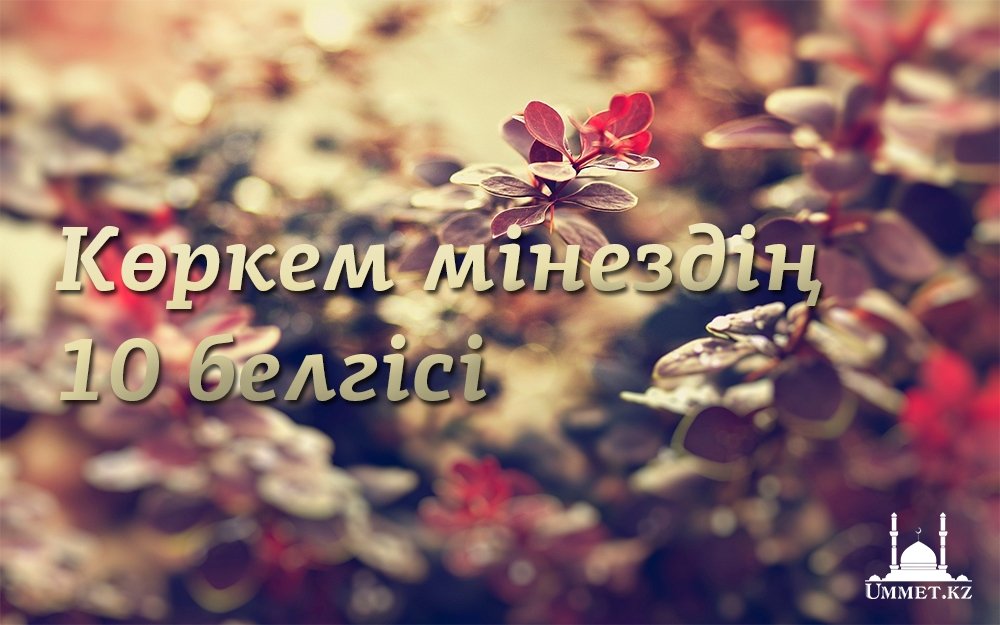 Көркем мінездің он белгісі
