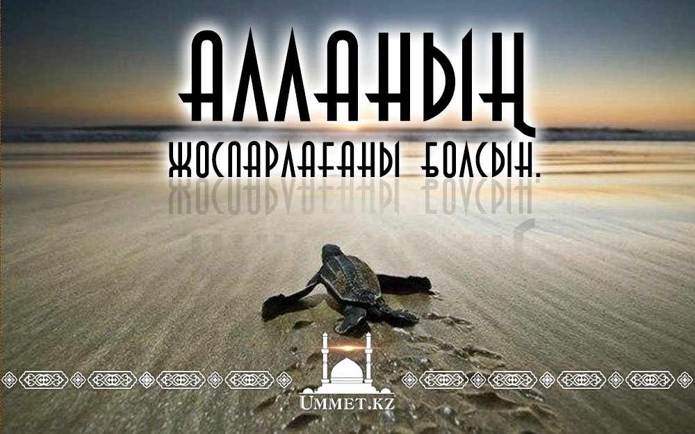 Алланың жоспарлағаны болсын.