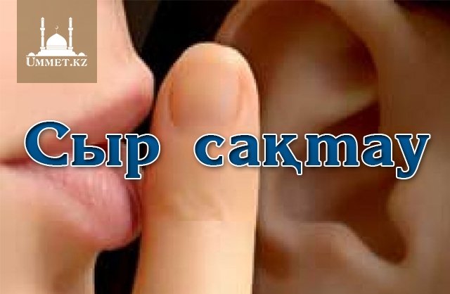 Сыр сақтау
