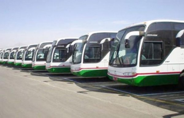 Қажыларға 16 мың автобус қызмет етеді