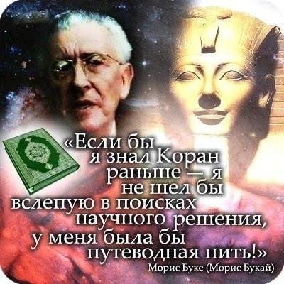 Если бы я знал Коран ранше – я не шел бы в слепую