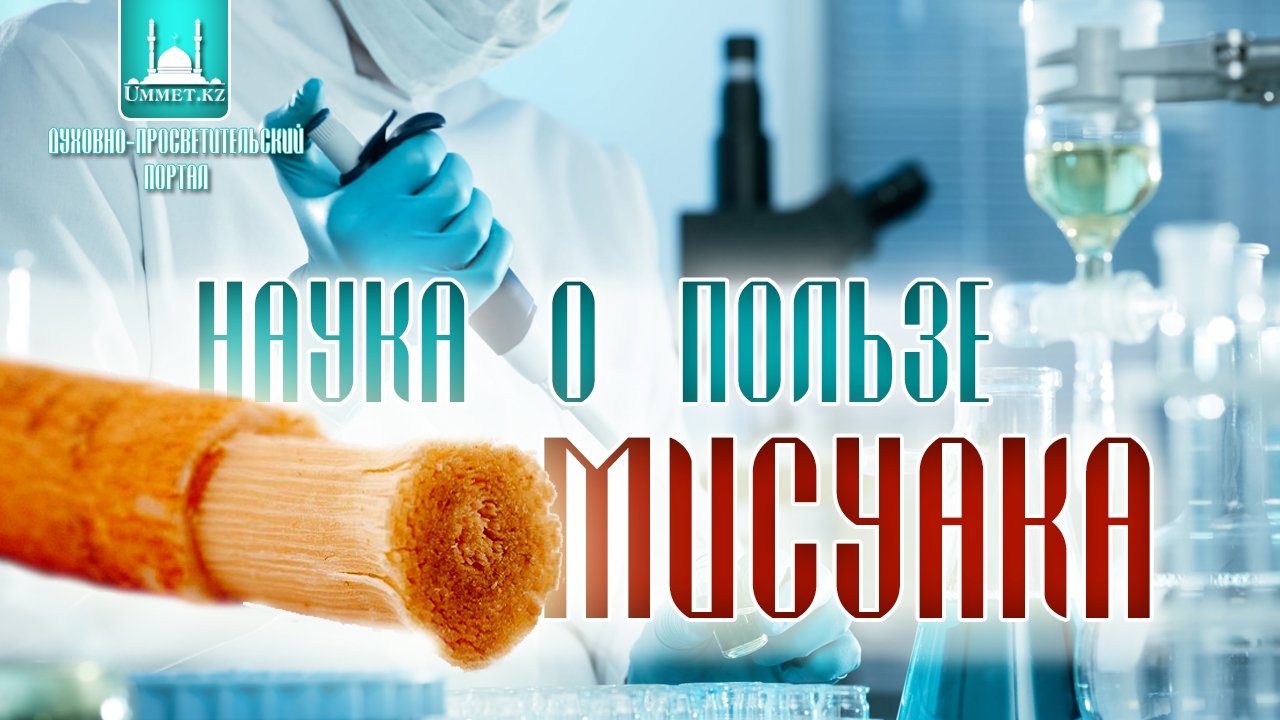 Наука о пользе Мисуака