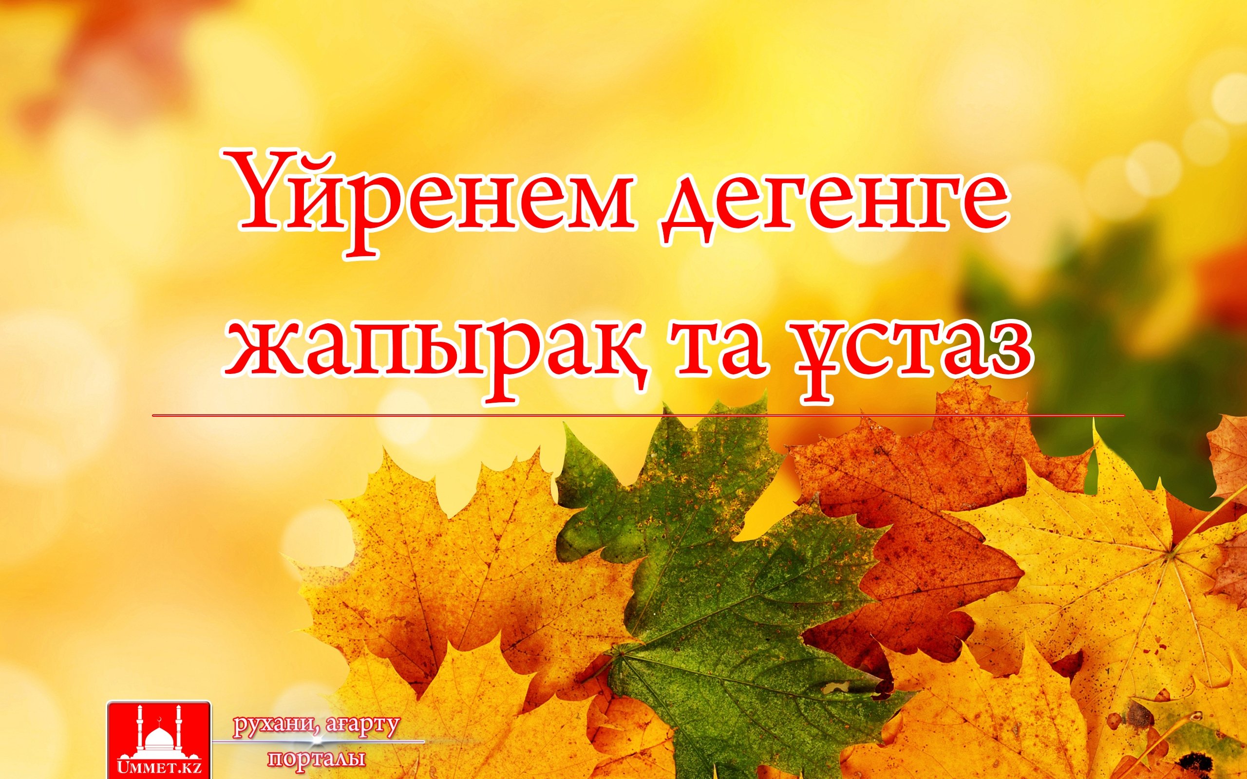 Үйренем дегенге жапырақ та ұстаз