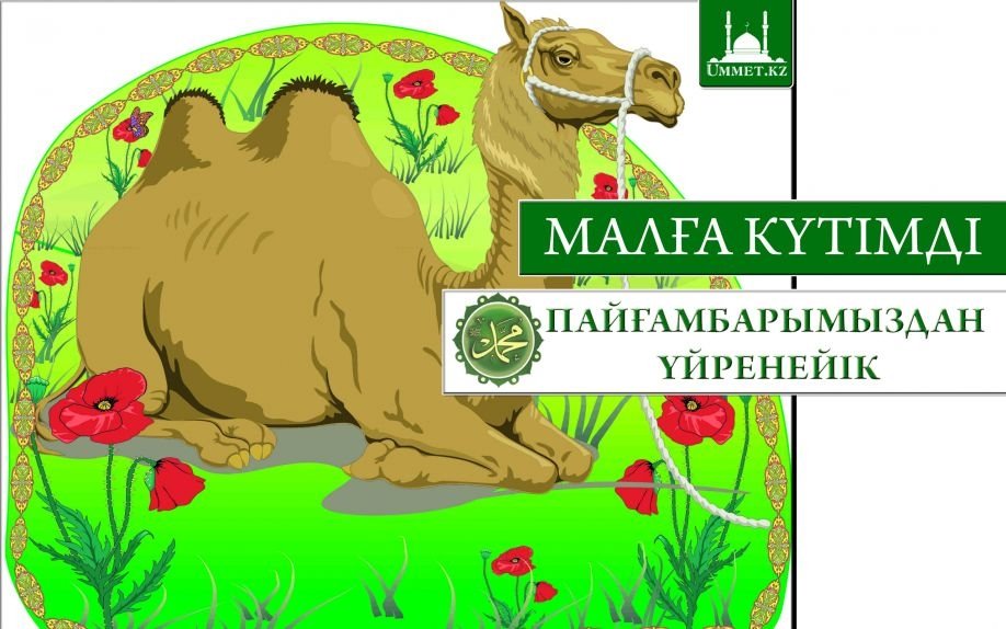 Малға күтімді Пайғамбарымыздан (с.ғ.с) үйренейік