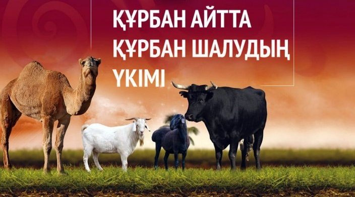 Құрбан айтта құрбандық шалудың үкімі