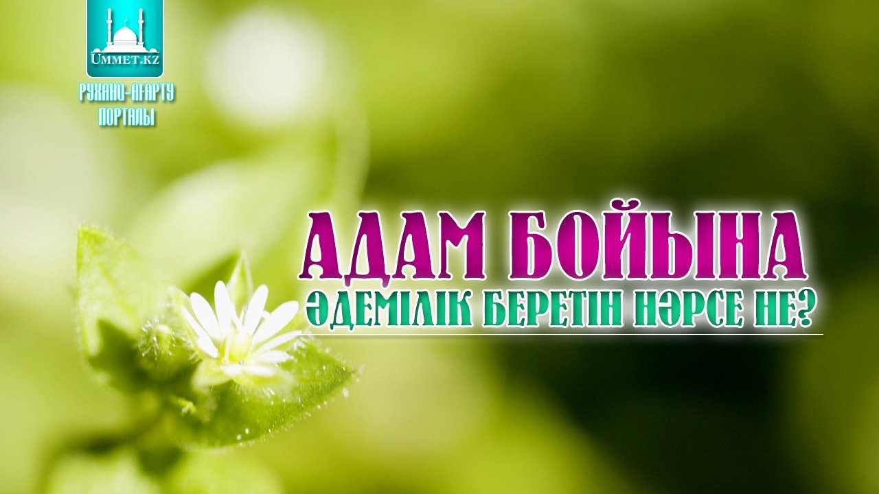 Адам бойына әдемілік беретін нәрсе не?
