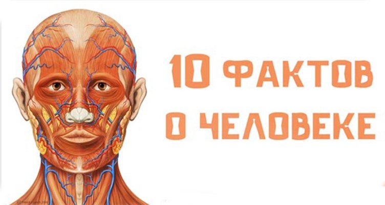 Десять интересных фактов о человеке