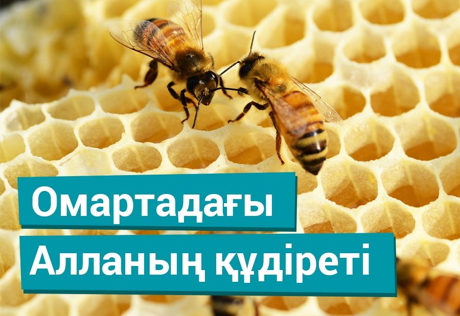 Омартадағы  Алланың құдіреті.